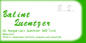 balint quentzer business card